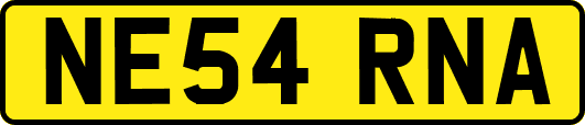 NE54RNA