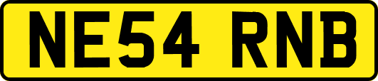 NE54RNB