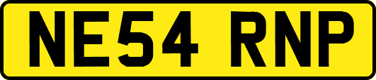 NE54RNP