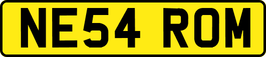NE54ROM