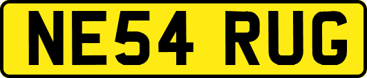 NE54RUG