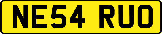 NE54RUO