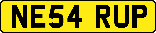 NE54RUP