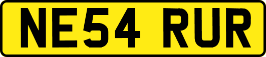 NE54RUR