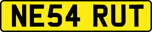 NE54RUT