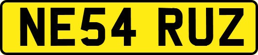 NE54RUZ