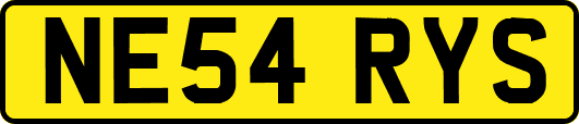 NE54RYS