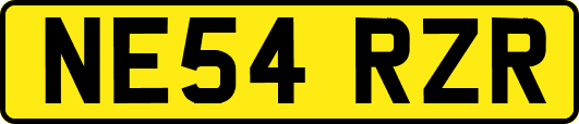 NE54RZR