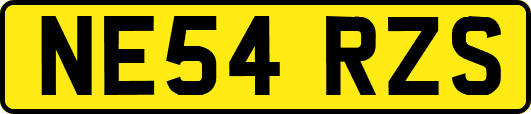 NE54RZS
