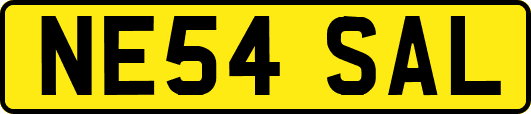 NE54SAL