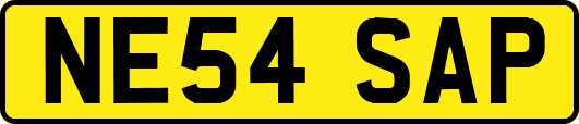 NE54SAP