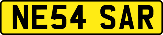 NE54SAR