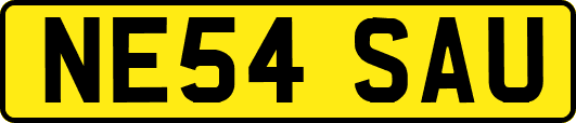 NE54SAU
