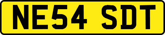 NE54SDT