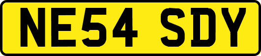 NE54SDY