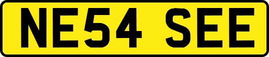 NE54SEE