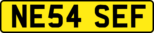 NE54SEF