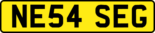 NE54SEG
