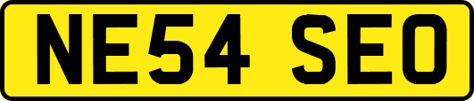 NE54SEO