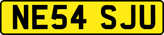 NE54SJU