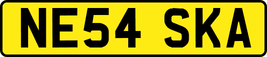 NE54SKA