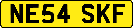 NE54SKF