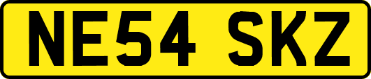 NE54SKZ