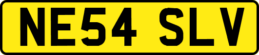 NE54SLV