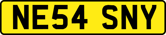 NE54SNY