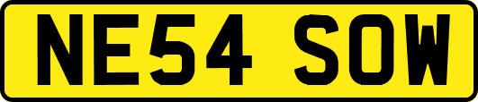 NE54SOW