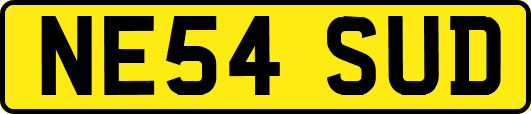 NE54SUD