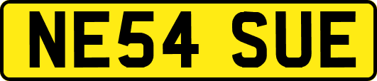 NE54SUE