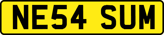 NE54SUM