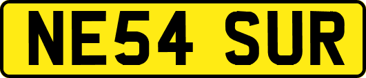 NE54SUR