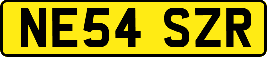 NE54SZR