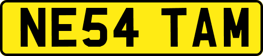 NE54TAM
