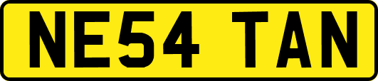 NE54TAN