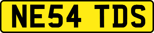 NE54TDS