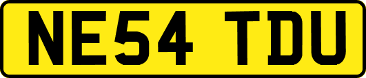 NE54TDU
