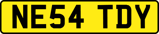 NE54TDY