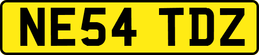 NE54TDZ