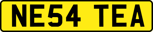 NE54TEA