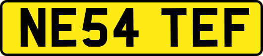 NE54TEF