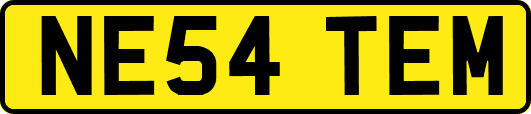 NE54TEM
