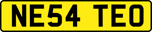 NE54TEO