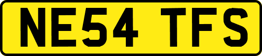 NE54TFS