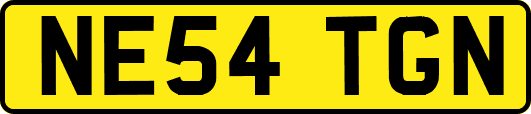 NE54TGN