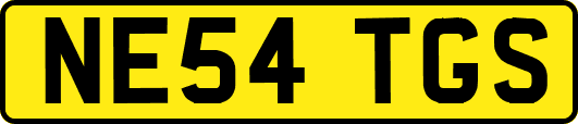 NE54TGS