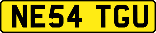 NE54TGU