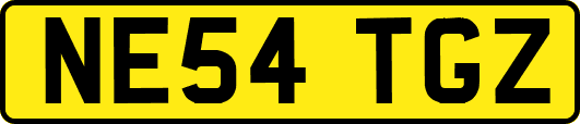 NE54TGZ